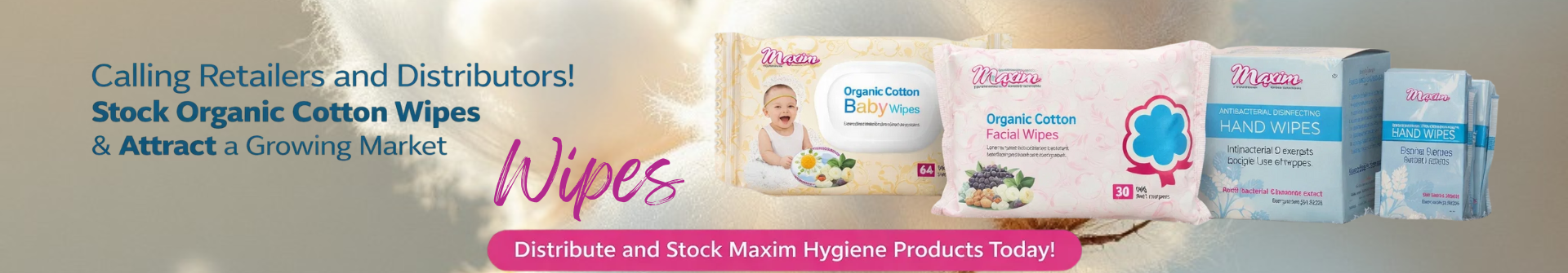 Wet Wipes Products